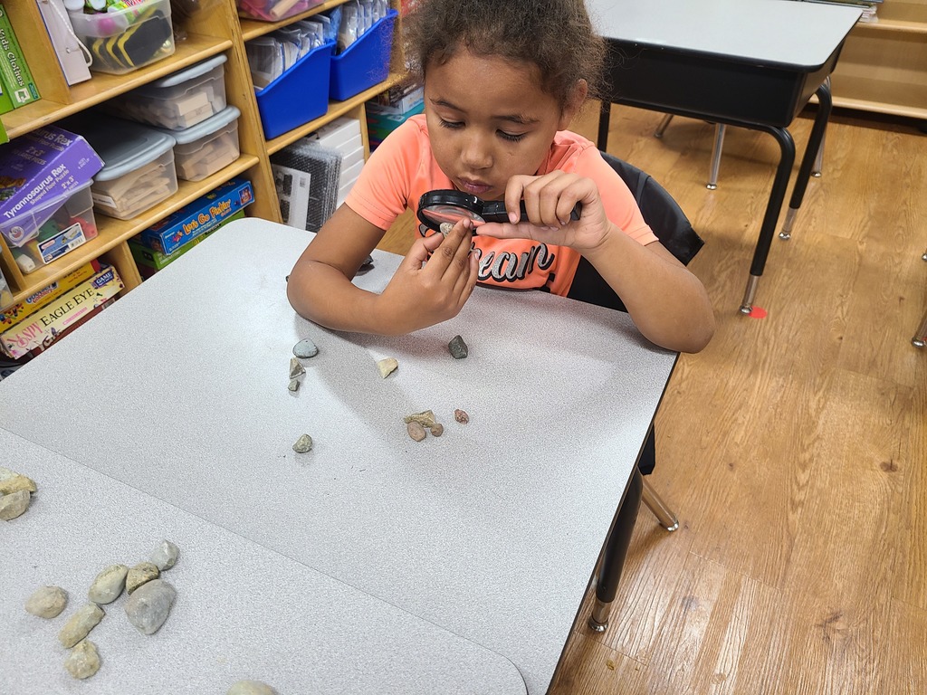 Rock Expert Readiness Kindergarten